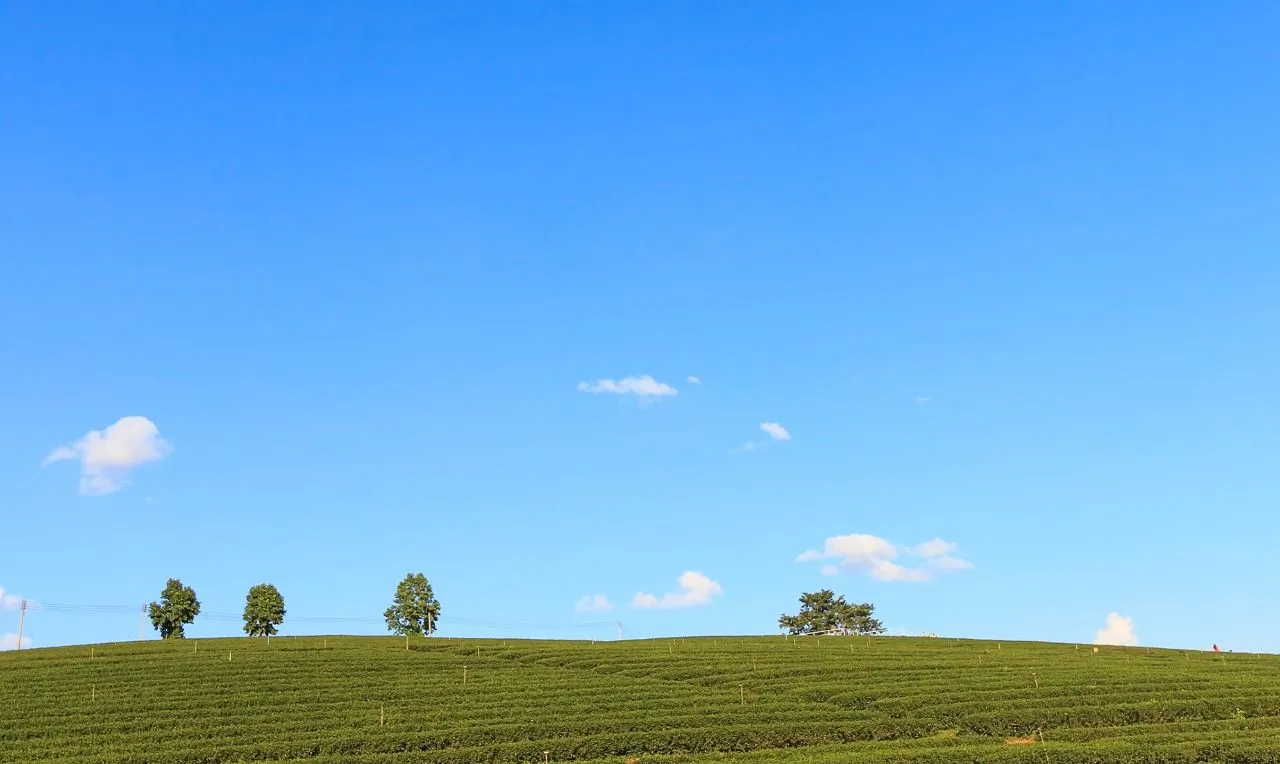 A imagem ilustra um dia de sol e baixa umidade